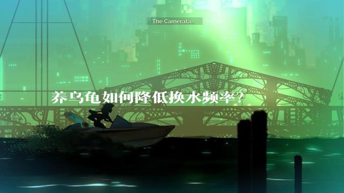 养乌龟如何降低换水频率？
