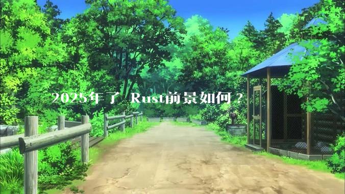 2025年了 Rust前景如何?