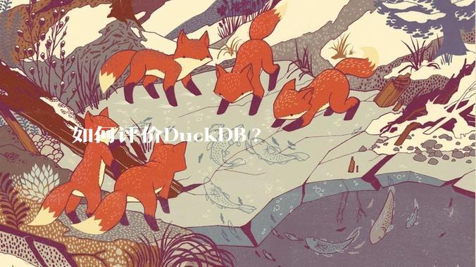 如何评价DuckDB?