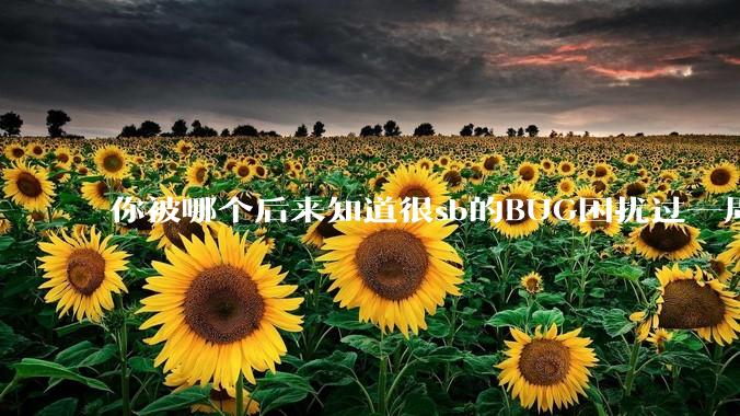 你被哪个后来知道很sb的BUG困扰过一周以上吗？
